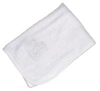 Dandelion sales baby blanket
